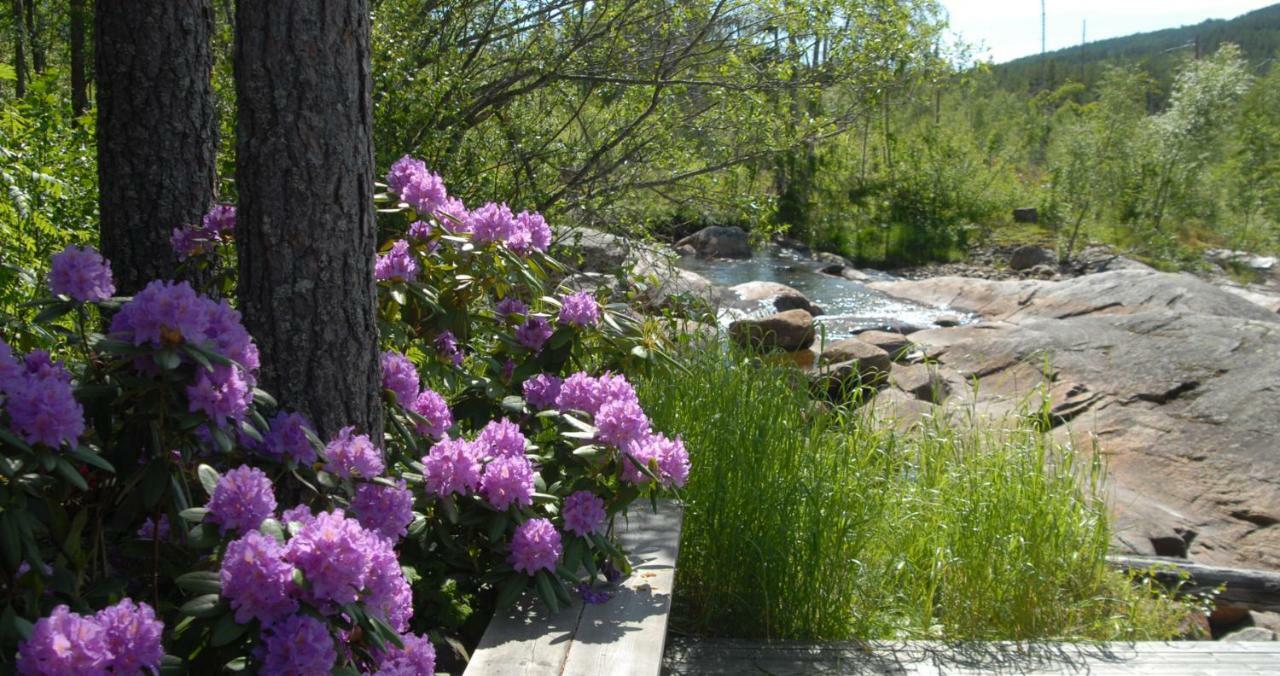 Fossumsanden Camping Og Hytter Fyresdal Εξωτερικό φωτογραφία
